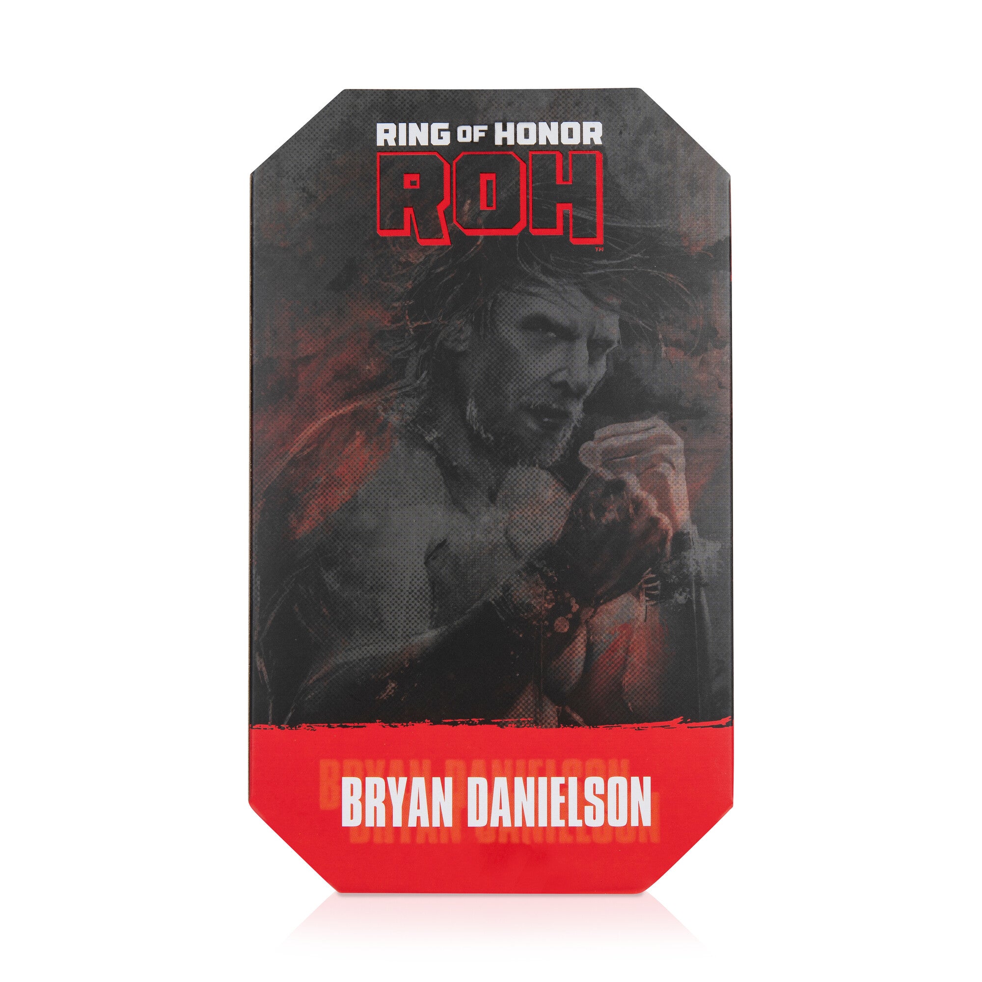 Ring of Honor Bryan Danielson - Image 9