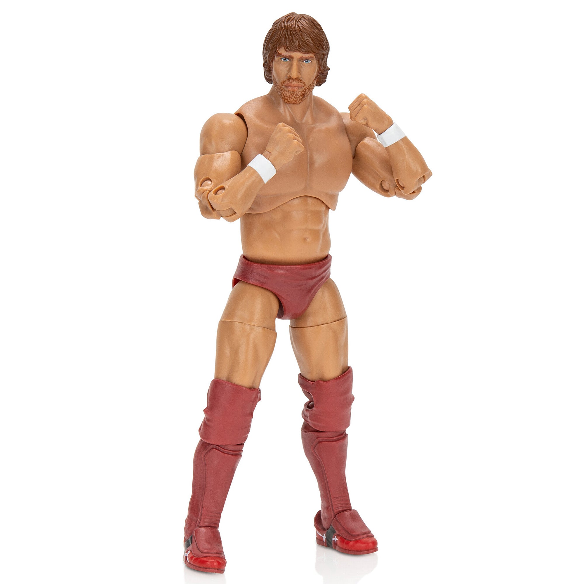 Ring of Honor Bryan Danielson - Image 18