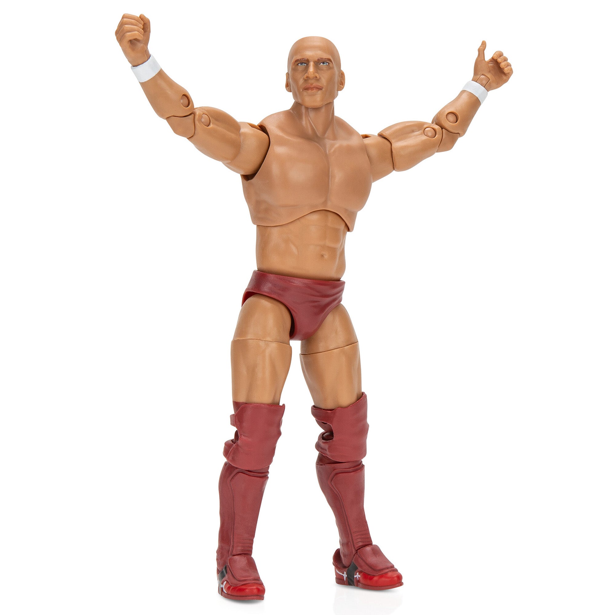 Ring of Honor Bryan Danielson - Image 19