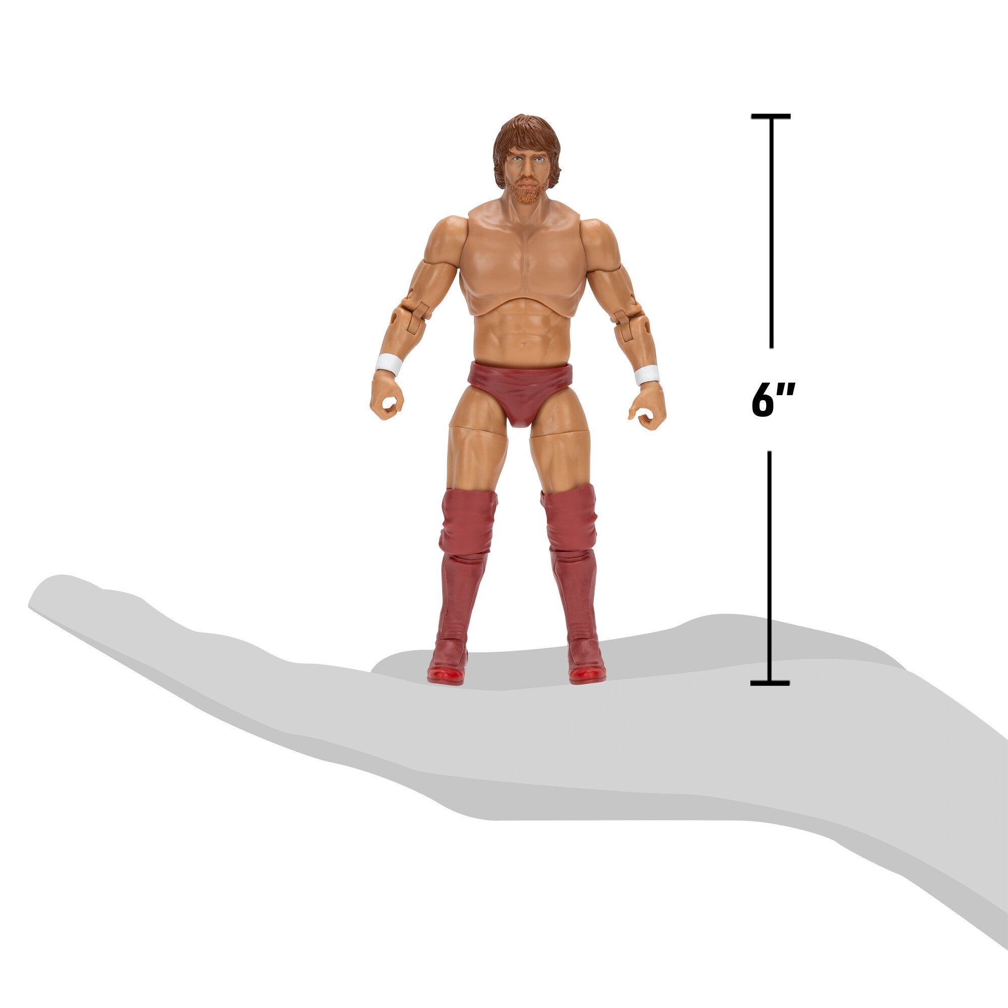 Ring of Honor Bryan Danielson - Image 20