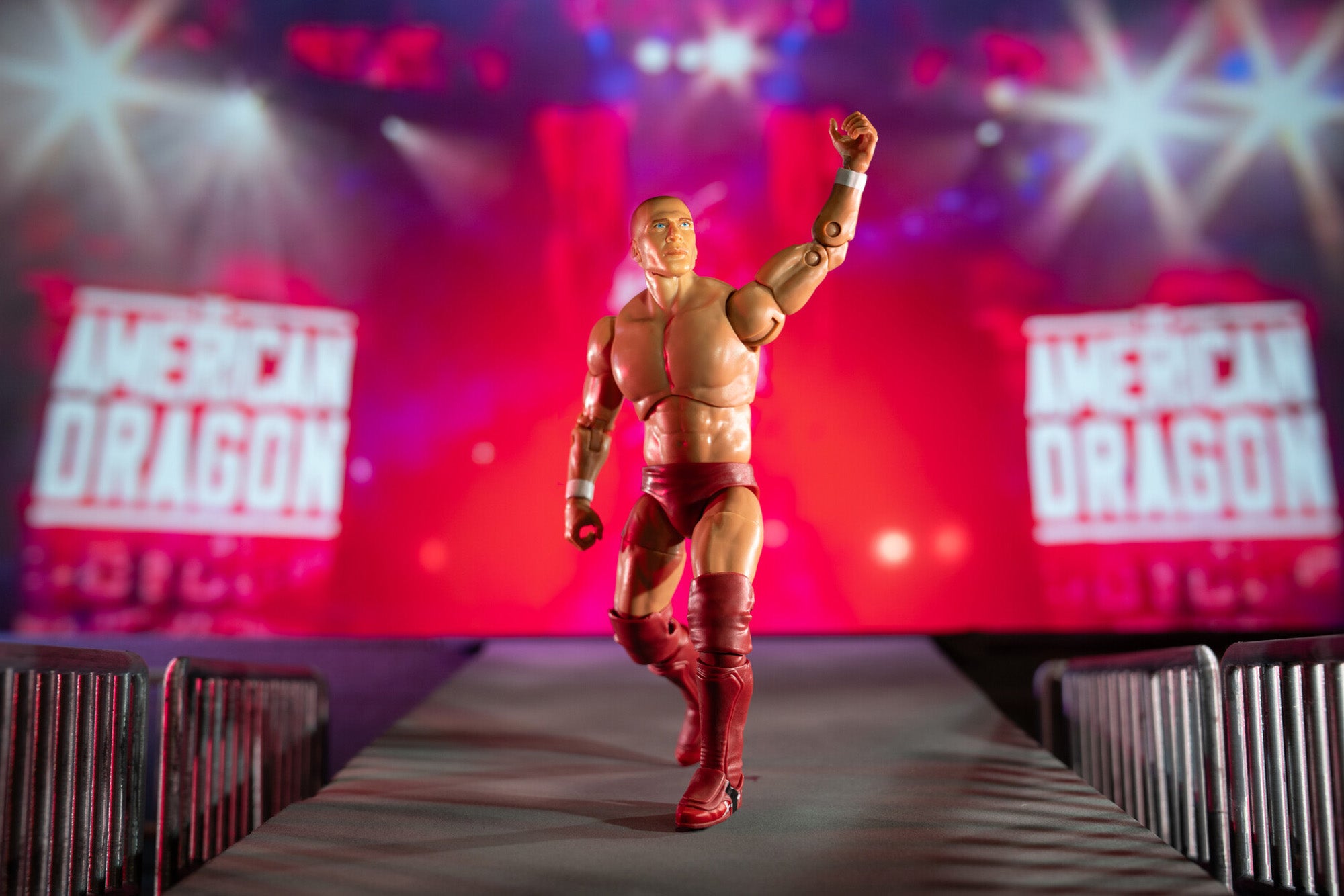 Ring of Honor Bryan Danielson - Image 3