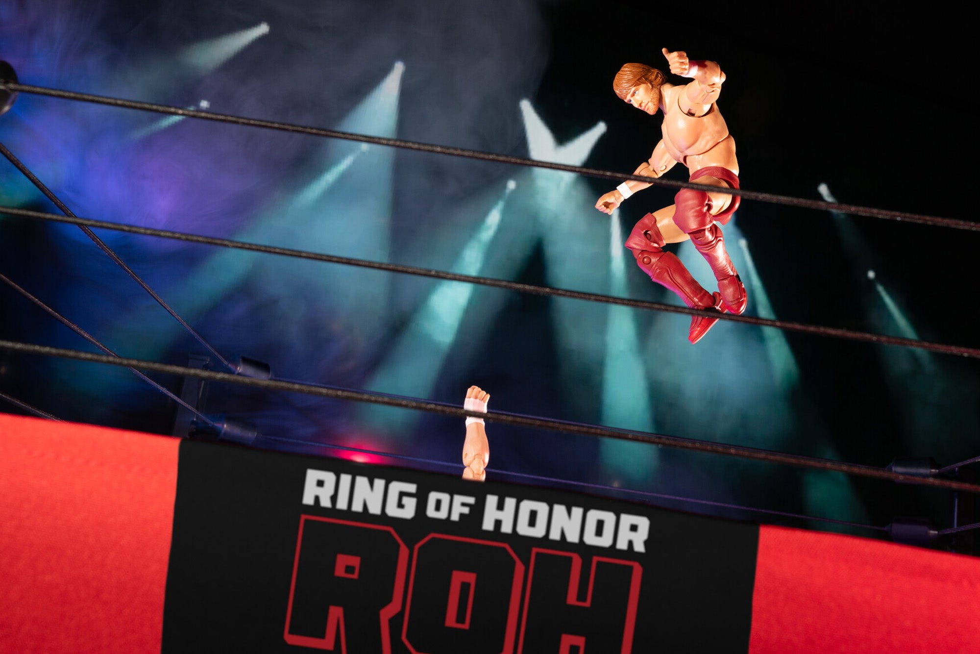 Ring of Honor Bryan Danielson - Image 8