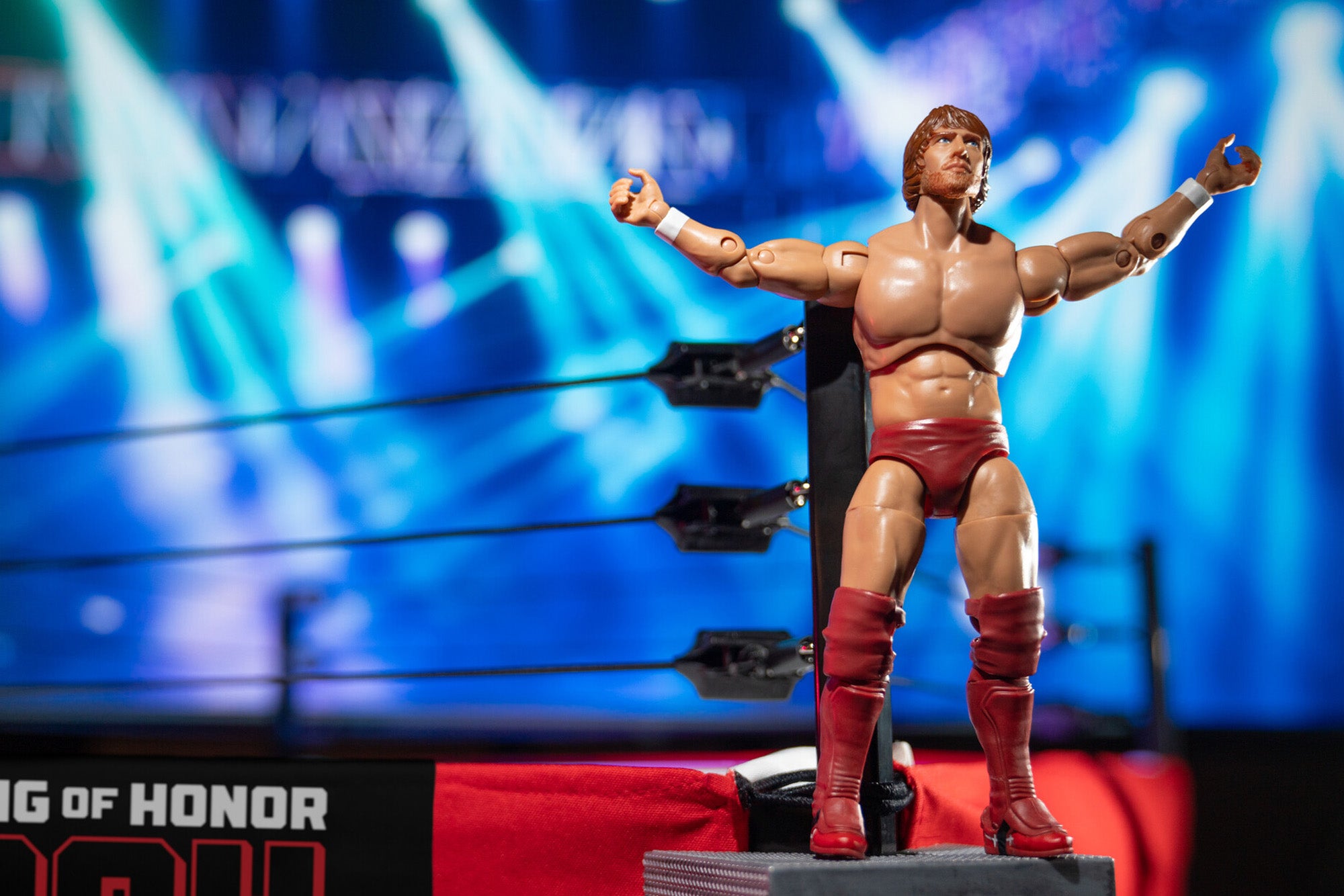 Ring of Honor Bryan Danielson - Image 6