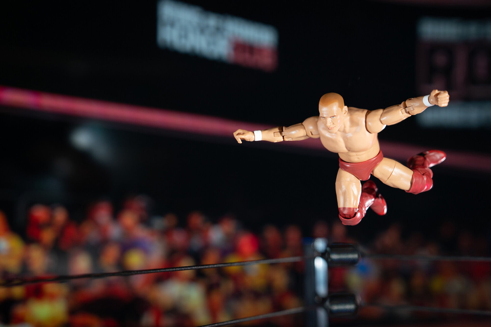 Ring of Honor Bryan Danielson - Image 21