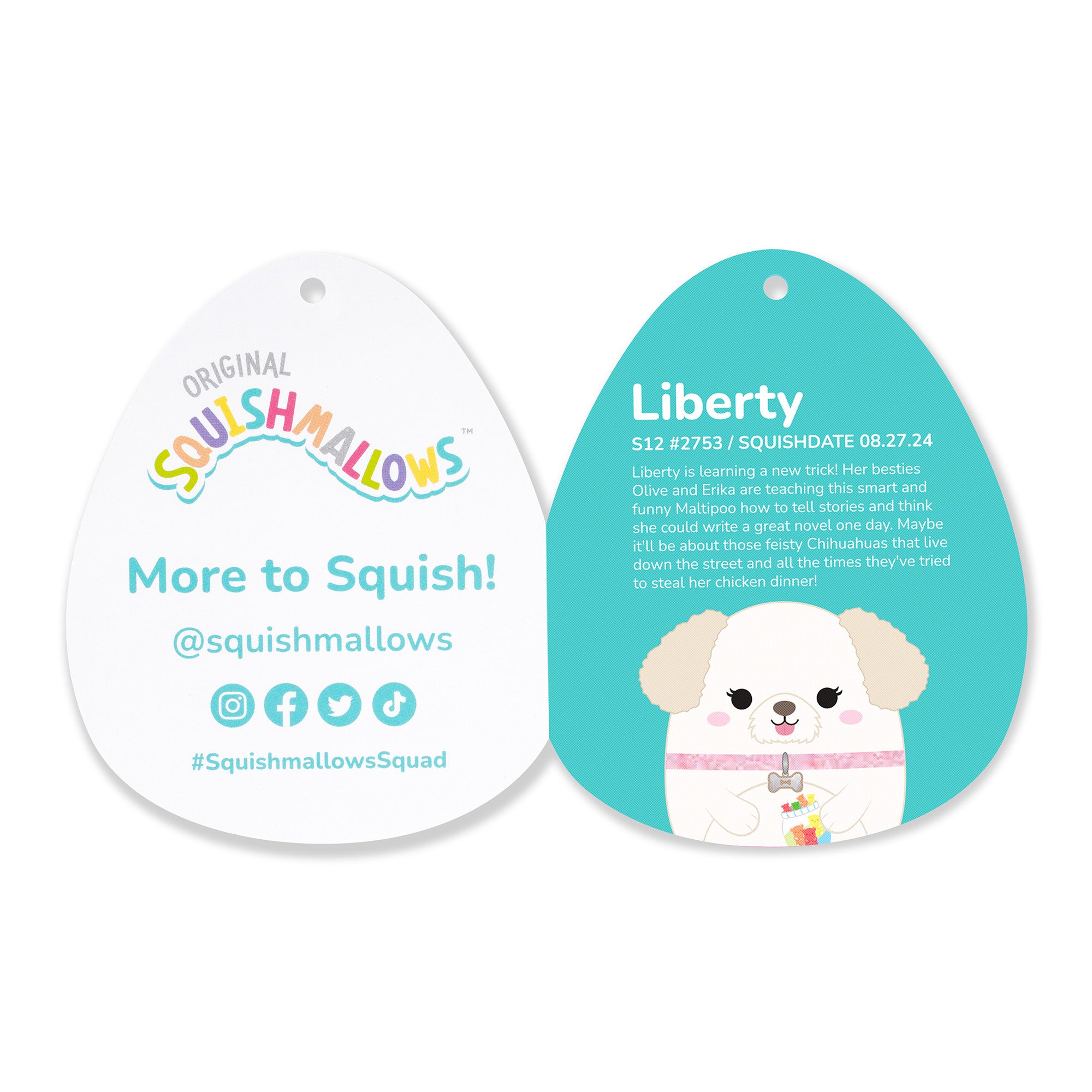 12-Inch Make-A-Wish Liberty the Cream Maltipoo - Image 6