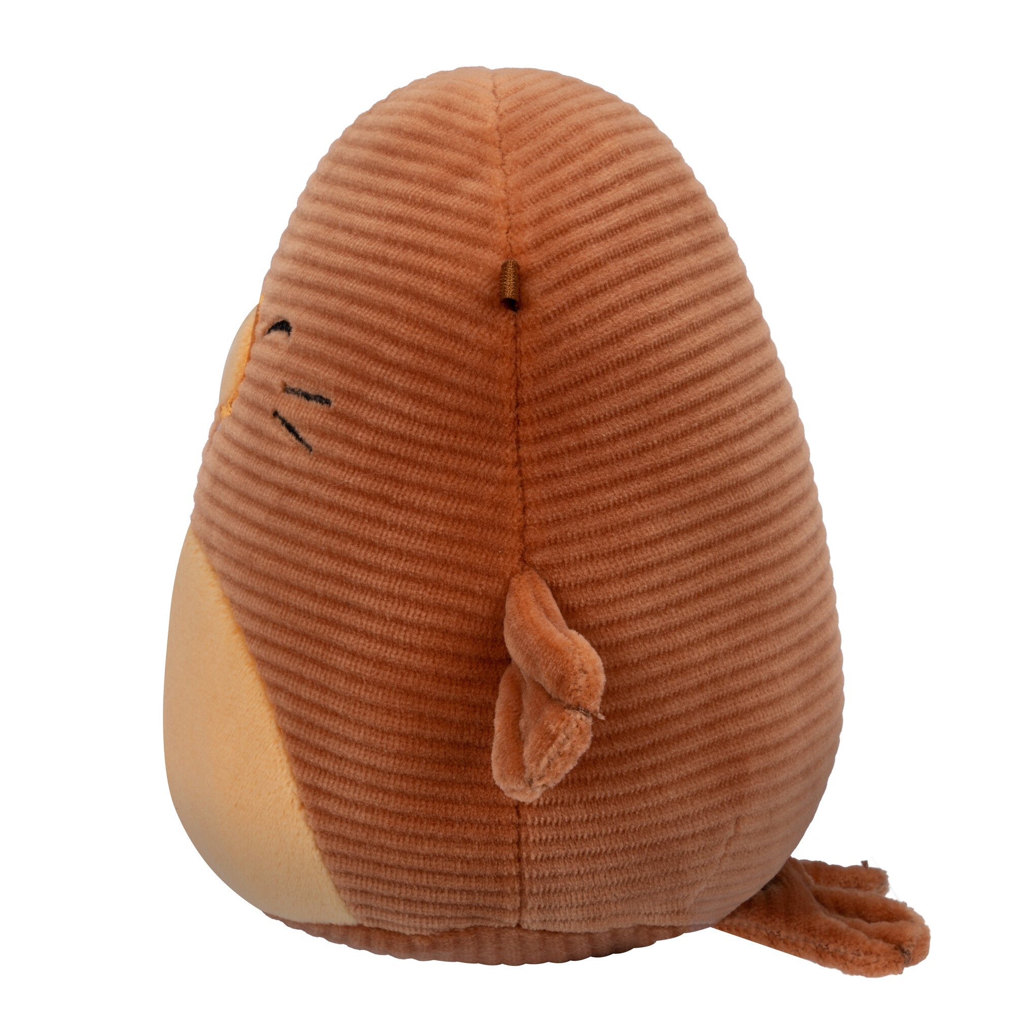 Corduroy Sealife 6 Pack - Image 9
