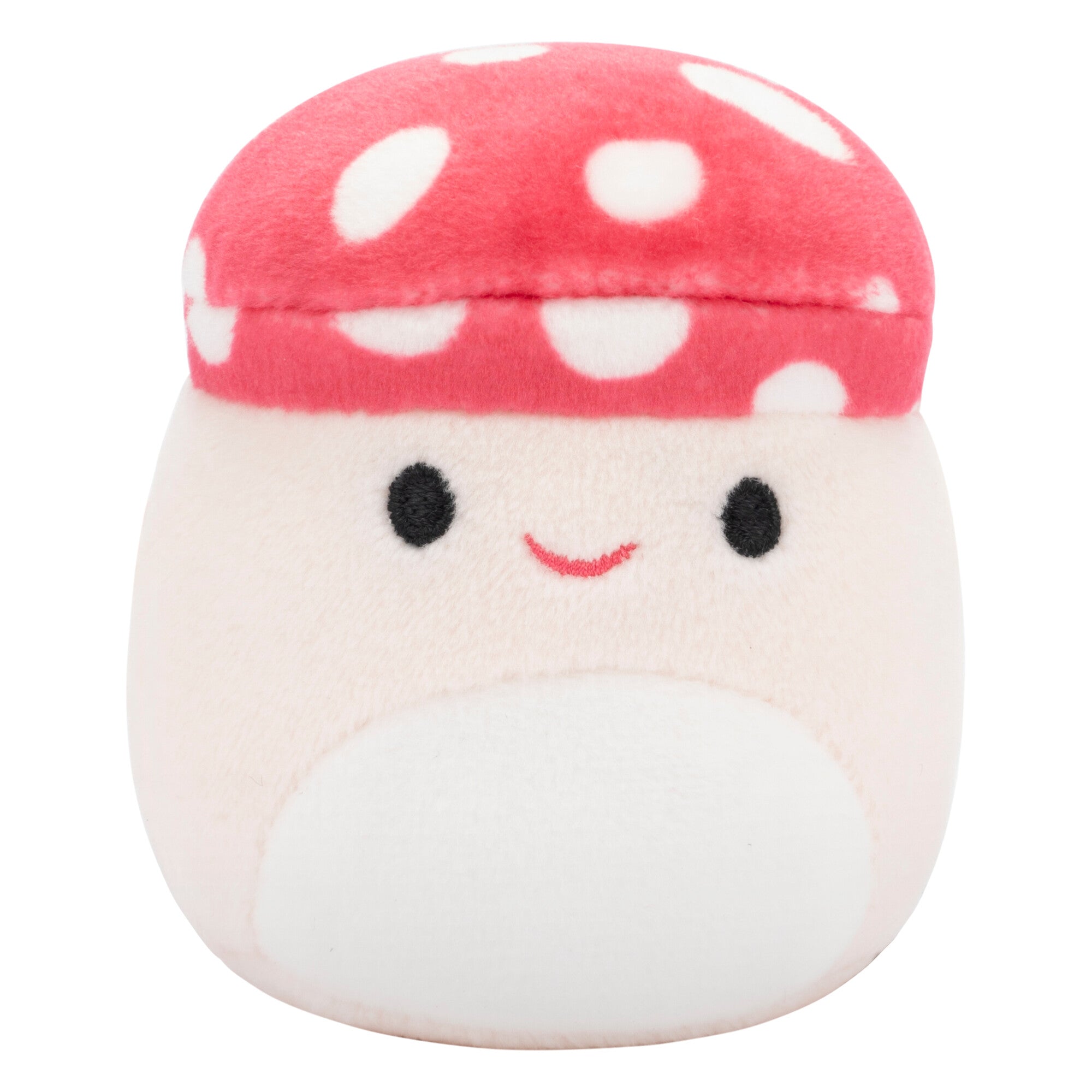 Micromallows 6-Pack – Danny Dinosaur. Dane Dragon. Malcolm Mushroom. Lena Guava Fruit. Leonard Lion. Noah Seal - Image 7