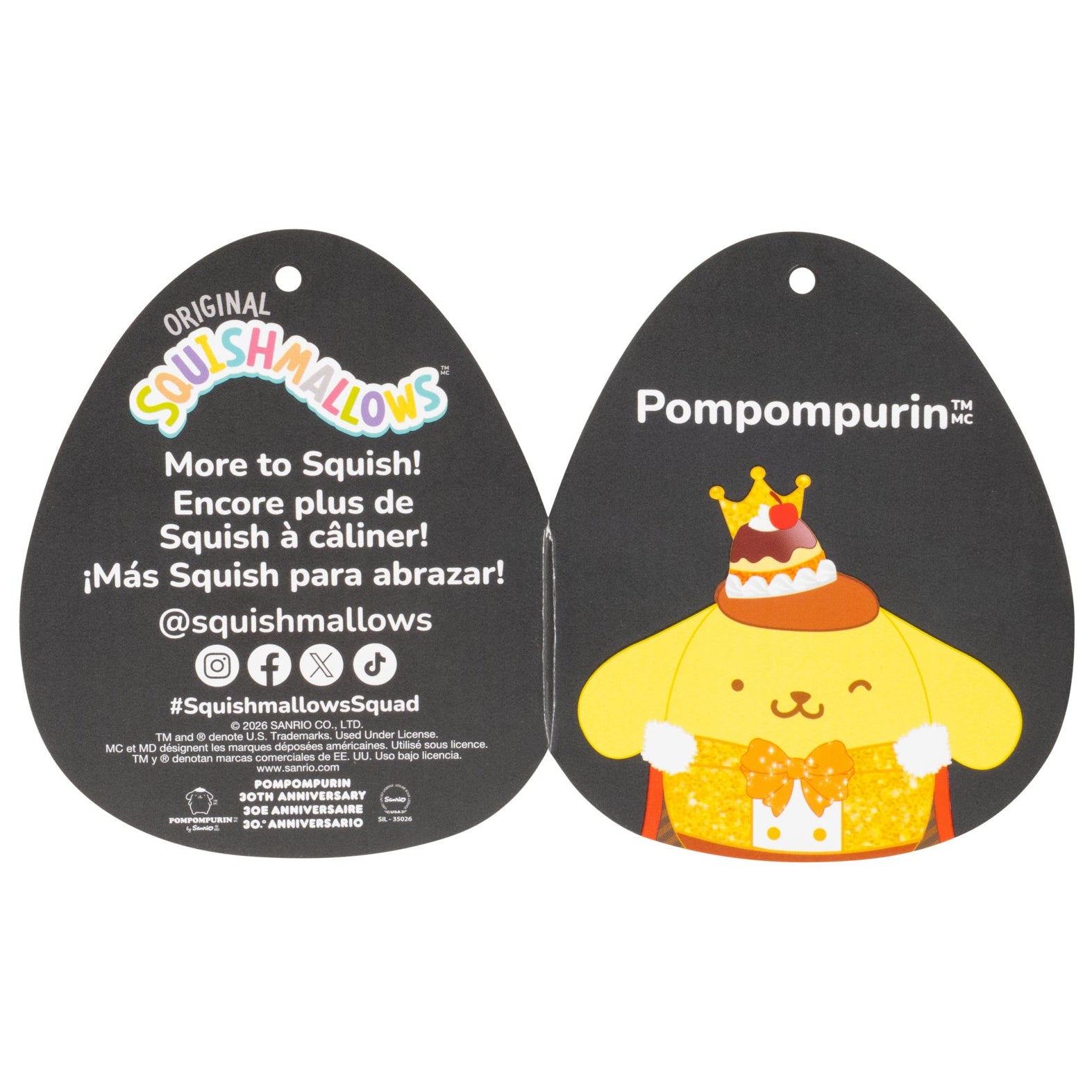 Hello Kitty and Friends 12-Inch Pompompurin Anniversary Squishmallows - Image 7